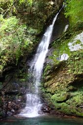 by kiwiaoraki, Views[353]