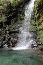 by kiwiaoraki, Views[416]