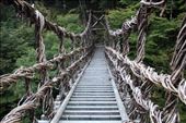 by kiwiaoraki, Views[438]