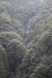 by kiwiaoraki, Views[144]