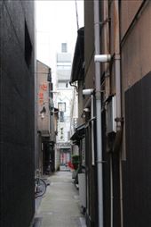 by kiwiaoraki, Views[463]