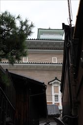 by kiwiaoraki, Views[178]