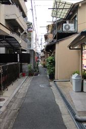 by kiwiaoraki, Views[239]