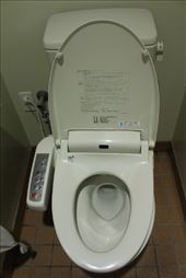 by kiwiaoraki, Views[420]