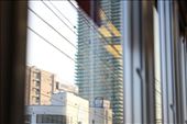 by kiwiaoraki, Views[849]