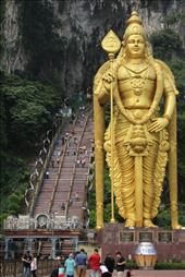 by kiwiaoraki, Views[342]