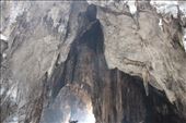 by kiwiaoraki, Views[432]