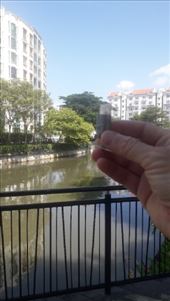 by kiwiaoraki, Views[71]