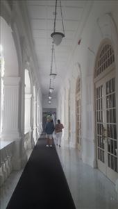 by kiwiaoraki, Views[78]