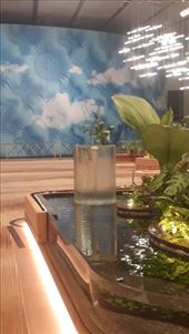 by kiwiaoraki, Views[240]