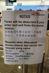 by kiwiaoraki, Views[510]