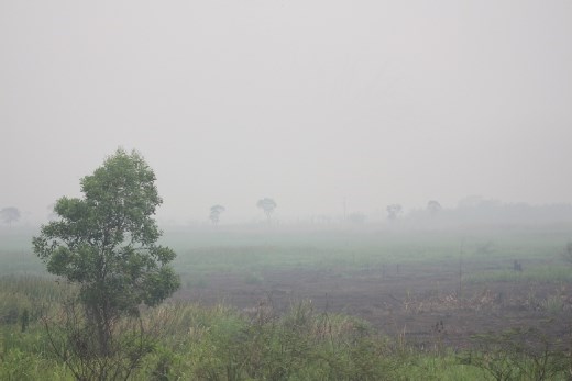 This isn't a romantic morning mist, but a thick, noxious smog