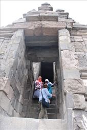 by kiwiaoraki, Views[464]