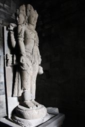 by kiwiaoraki, Views[485]