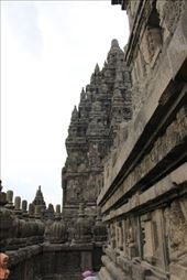 by kiwiaoraki, Views[481]