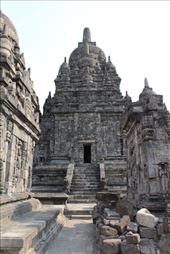 by kiwiaoraki, Views[478]