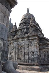 by kiwiaoraki, Views[493]