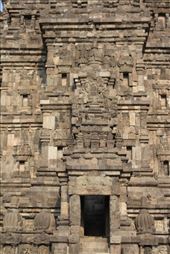 by kiwiaoraki, Views[166]