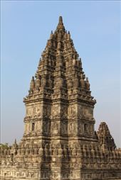 by kiwiaoraki, Views[184]