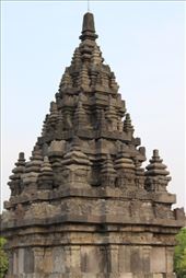 by kiwiaoraki, Views[175]