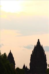 by kiwiaoraki, Views[754]