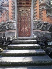 by kiwiaoraki, Views[105]