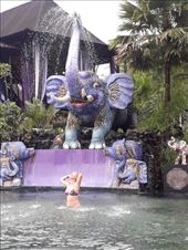 by kiwiaoraki, Views[143]