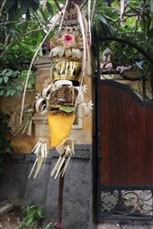 by kiwiaoraki, Views[130]