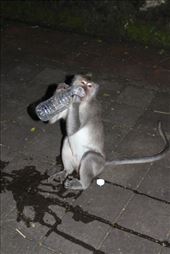 by kiwiaoraki, Views[122]