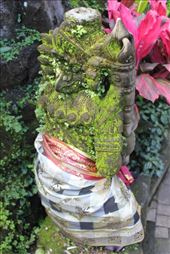 by kiwiaoraki, Views[137]