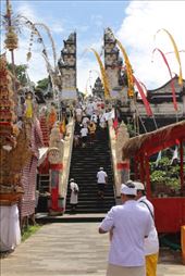 by kiwiaoraki, Views[127]