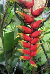 by kiwiaoraki, Views[132]