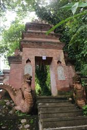 by kiwiaoraki, Views[134]