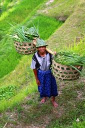 by kiwiaoraki, Views[425]