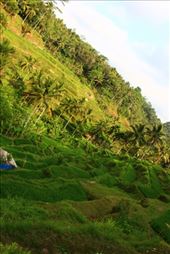 by kiwiaoraki, Views[179]