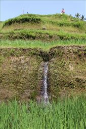 by kiwiaoraki, Views[125]