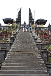 by kiwiaoraki, Views[178]