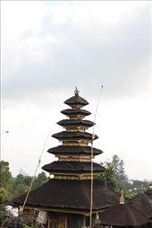 by kiwiaoraki, Views[138]