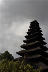 by kiwiaoraki, Views[160]