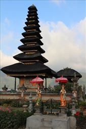 by kiwiaoraki, Views[177]