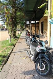 by kiwiaoraki, Views[1061]