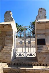 by kiwiaoraki, Views[145]