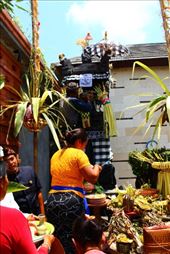 by kiwiaoraki, Views[261]