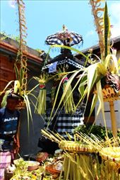 by kiwiaoraki, Views[273]