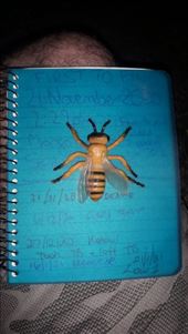 by kiwiaoraki, Views[84]