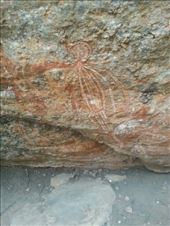 by kiwiaoraki, Views[178]