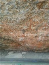 by kiwiaoraki, Views[198]