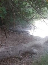 by kiwiaoraki, Views[166]