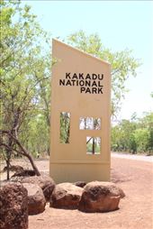 by kiwiaoraki, Views[453]