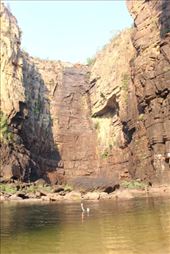 by kiwiaoraki, Views[158]